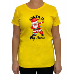 Tricou Santa Is My Homie - Heavy Cotton Femei - D0000101U