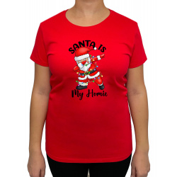 Tricou Santa Is My Homie - Heavy Cotton Femei - D0000101U