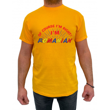 Tricou I'm Romanian - Heavy Cotton Barbati - D000006U