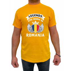 Tricou legends are born in Romania - Heavy Cotton Barbati - D000008U