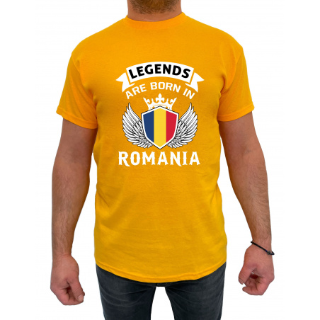 Tricou legends are born in Romania - Heavy Cotton Barbati - D000008U