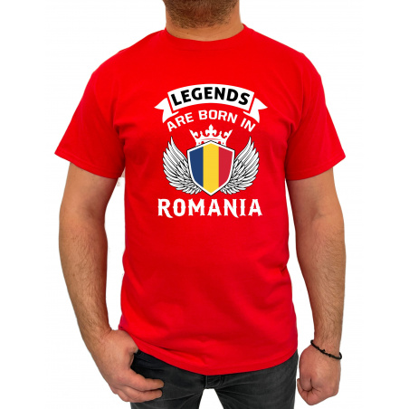 Tricou legends are born in Romania - Heavy Cotton Barbati - D000008U