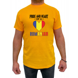 Tricou Pride and heart of a Romanian - Heavy Cotton Barbati - D0000012U