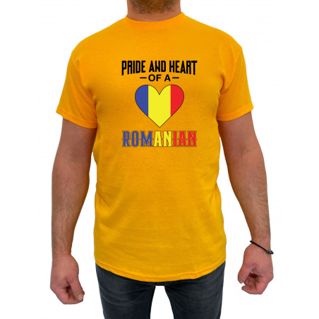 Tricou Pride and heart of a Romanian - Heavy Cotton Barbati - D0000012U